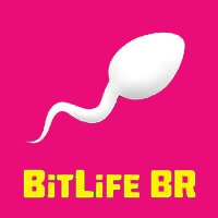 bitlife br